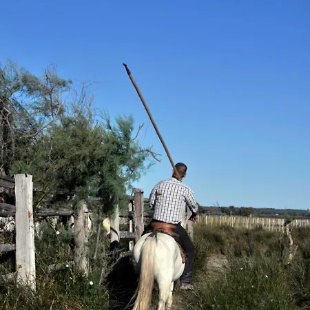 Le De La Lagune Proche De La Apartament