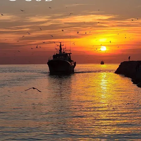 Le De La Lagune Proche De La *