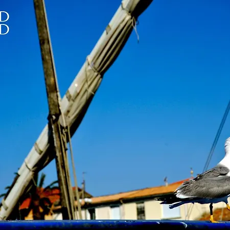 Le De La Lagune Proche De La