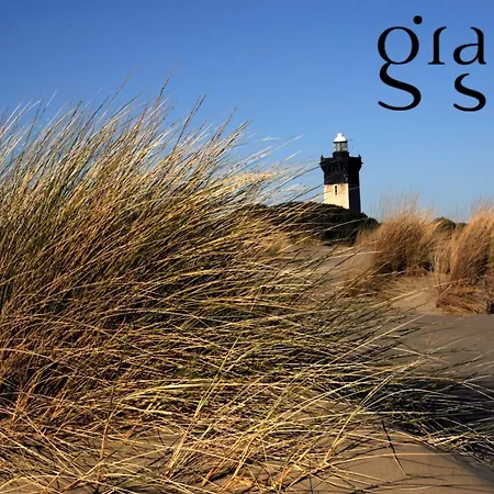 Le De La Lagune Proche De La * Le Grau-du-Roi