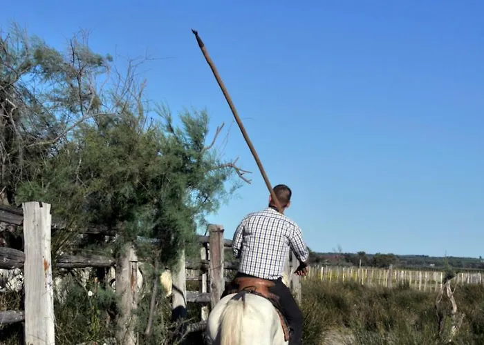 Le De La Lagune Proche De La Διαμέρισμα