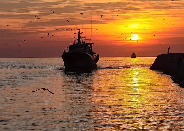 Le De La Lagune Proche De La *