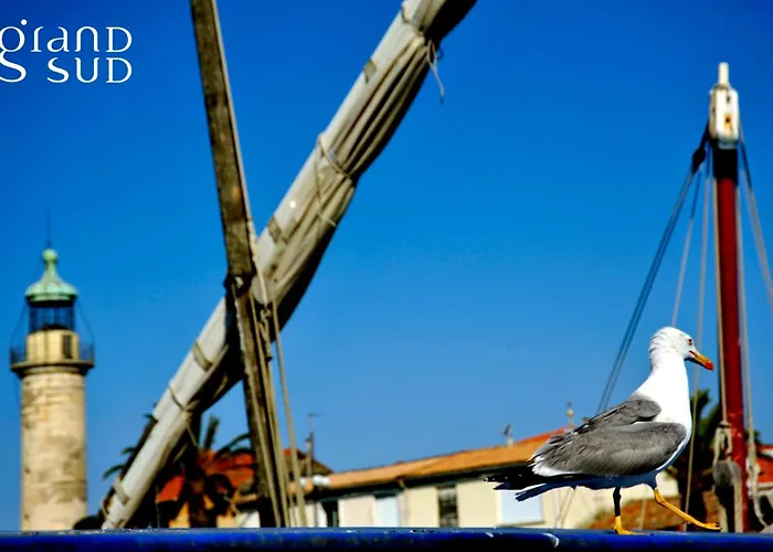 Le De La Lagune Proche De La