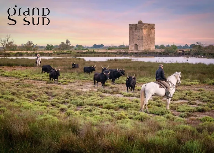 Διαμέρισμα Le De La Lagune Proche De La *