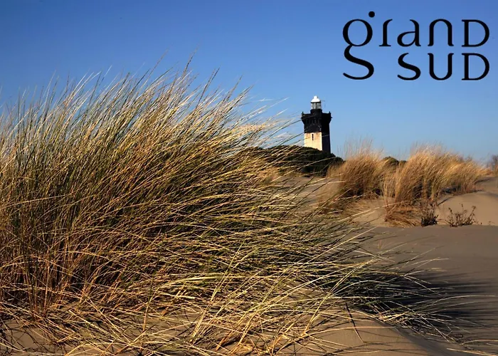 Le De La Lagune Proche De La * Le Grau-du-Roi